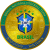 logo Brazil National Football Team Fan Token