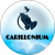 Carillonium finance логотип