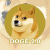 logo DOGE 2.0