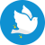 DoveSwap Finance логотип