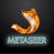 logo Metaseer