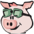 شعار Pig Finance