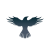 Raven Protocol логотип