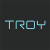 Логотип TROY