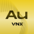 logo VNX Gold