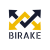 Логотип Birake Exchange